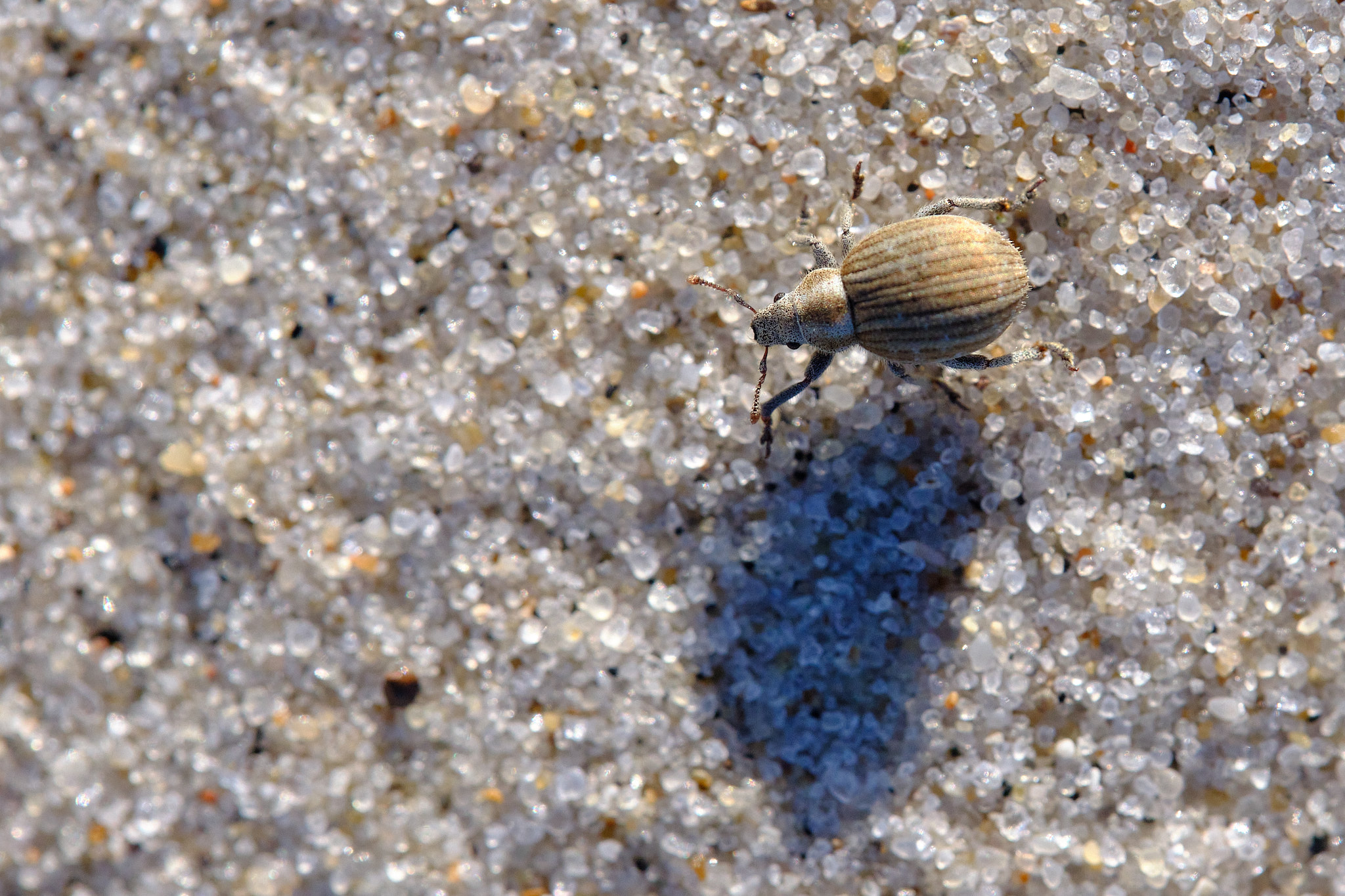 2025 05 15  xt 5   2841